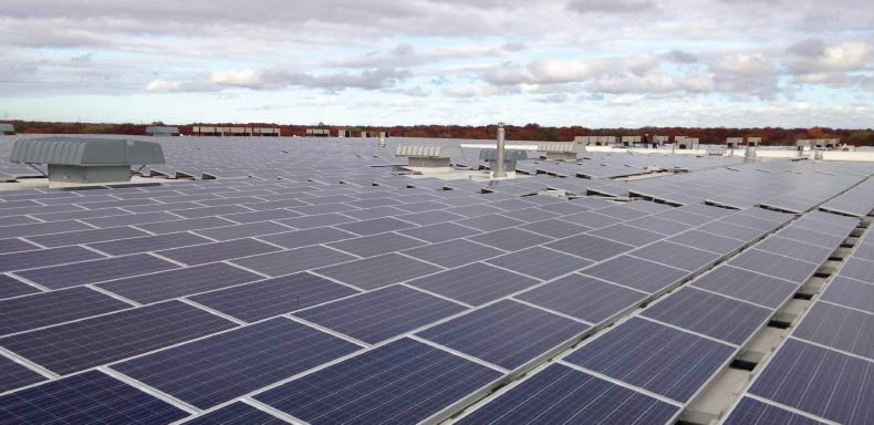 dicarlo-food-distributor